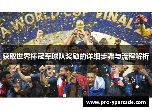 获取世界杯冠军球队奖励的详细步骤与流程解析